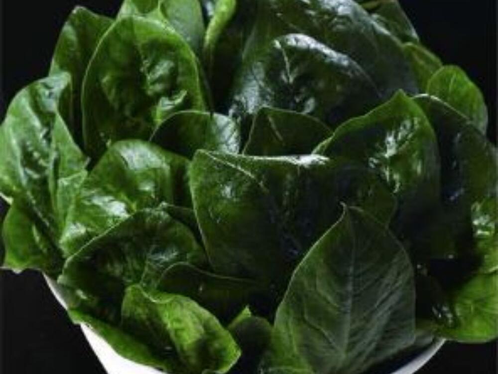 STRACCIATELLA ROMANO